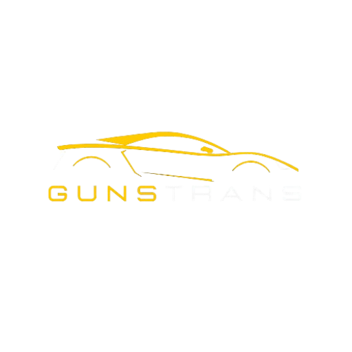 Guns Trans Logo